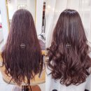 스펠라헤어메디컬 이미지