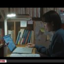 스테디독 이미지