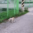 구평배수장 이미지