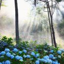 해남3호 이미지