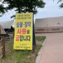 모항해수욕장 | [전북 부안_모항해수욕장 캠핑장 후기♥]