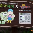 양희숙농장 이미지