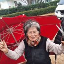 양양초등학교 이미지