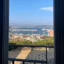 씨엔밤부 이미지