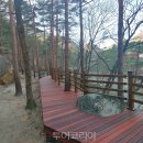 호암소교량 투어코리아