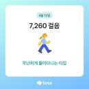 해질녘부엉이 이미지