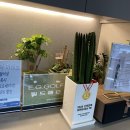 YG골프스튜디오 이미지