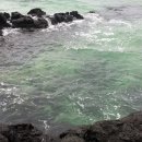 토토페키 | 2013. 8.25 Jeju 3박 4일의 제주여행 기록남기기 3