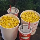 CGV 송파 3관 네이버블로그