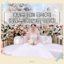 대덕대로-10 | 대전 메종드보네르 웨딩홀 11시 예식 본식 후기 (+포레스트메이크업, 하우스오브에이미)
