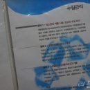 대영레포츠 이미지