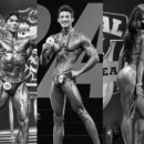 커스텀피트니스 사직점 이미지