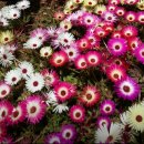 꽃길부동산중개사무소 이미지