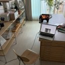 신인식 | 근황, 하지편 (부제: 노는게 남는 것이다. 무엇이? 추억이! 나 장하지!?)