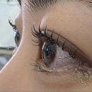 서윤뷰티라인