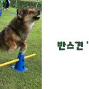 반스런