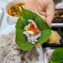 막썰어 세꼬시회 이미지