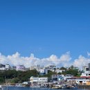 천지연약국 | [제주] 제주여행 이색놀거리 서귀포배낚시체험 물반고기반 &#39;새연교바다배낚시&#39;