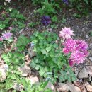 승희농장 이미지