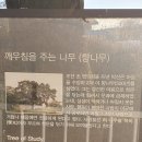 김포평화누리길 3코스 이미지