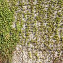 아미산전망대 이미지