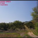 쌍룡초 토교분교장 이미지