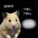 증증일상