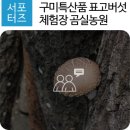 웅곡길 이미지