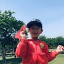 삼성현유치원 이미지