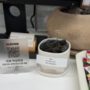 충장빌딩 | 광주 증명사진 스튜디오 오늘 충장점 재재방문