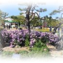 부천-중앙-부천-01 이미지