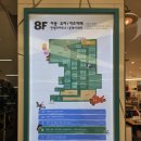 우주슈퍼마켓 | 영등포 키즈카페 추천 : 롯데백화점 리틀마운틴 21개월 아기랑 내돈내산 완벽 정리 (가격, 주차, 꿀팁)