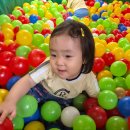 ＜9월 3주＞ 견학: 꿀잼놀이터, 비츠 퍼포먼스 - 「🏖️모래밭 꽃게놀이🦀」, 쓱쓱 싹싹 청소놀이해요🧹🧺 이미지