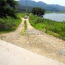 충남 금산군 남일면 상동리 / 임야 야산, 수목원부지 수목장부지 가족묘터 청소년수련장부지 묘자리 요양시설부지 / 1 이미지