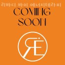 리바디바이에너지테라피