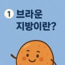 천호 발전소 이미지