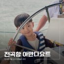 전곡유통 | 아이랑 이색놀이 추천, 서울 근교 경기도 전곡항 요트 투어 당일치기 가족 여행기