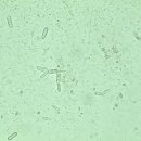 광화문동물병원 이미지