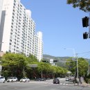 양운고사거리 횡단보도 이미지