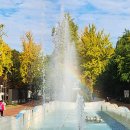 어린이대공원 이미지