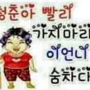 뽀끼야 이미지