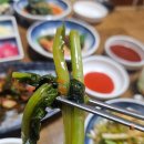 서울맛집 | 광양 중마동 맛집 추천 보양식 장어구이 &amp; 장어탕 찐맛집 “서울맛집” 후기