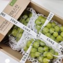 초록마을세탁 이미지