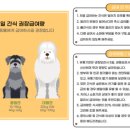 낼름멍푸드 이미지