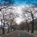 전원생활촌 이미지