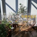 카페카일리 | 천안 대형카페 카페 카일리 햇살 맛집