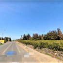 인성리-2 이미지