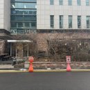 스티머스 | [서초역/카페] 스티머스 팩토리샵 내돈내산 후기