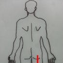 삼성수원OK한의원 이미지