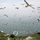 난도